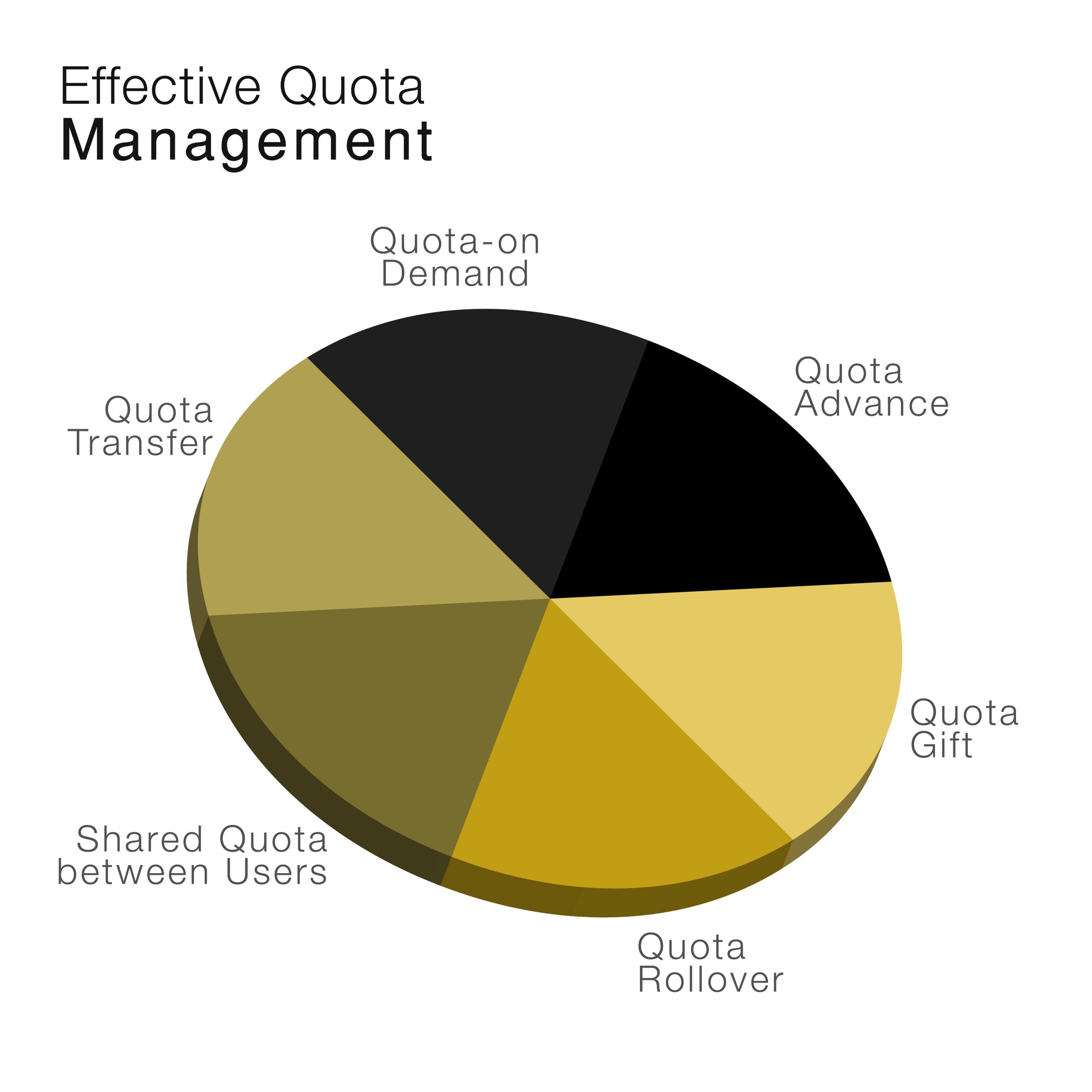 Achieve Data Monetization with Effective Quota Management