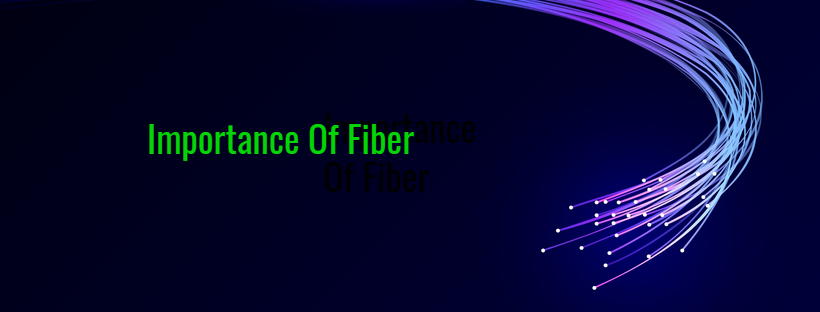 Importance of fiber