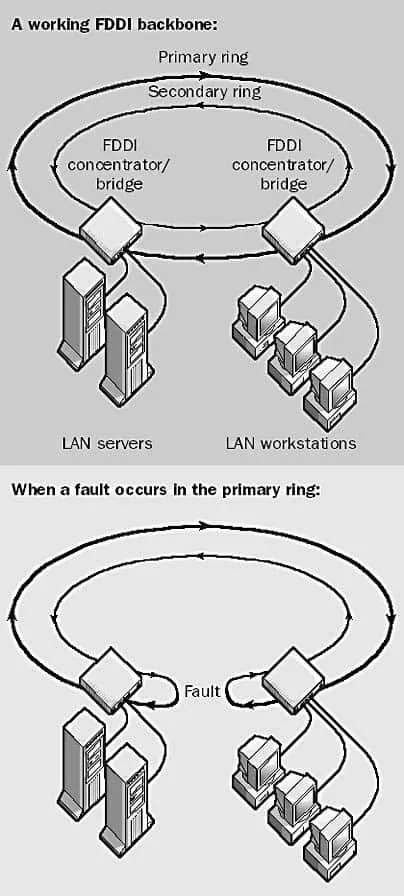 Backbone Ring 