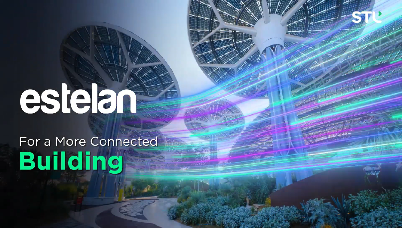 Estelan – Connectivity for enterprise LAN