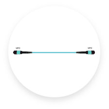 MPO Trunks & Array Cords