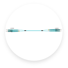 SFF Trunk Cable Assemblies