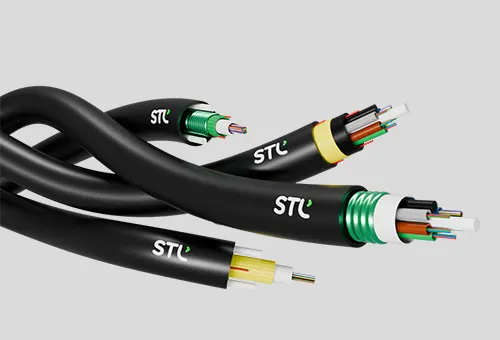 Multi-Core Fibre